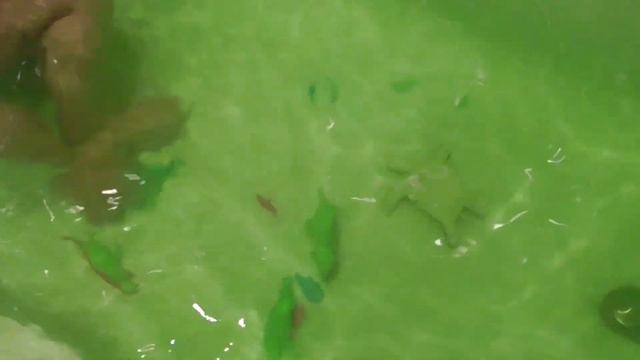 Купаемся в зелёном болоте с динозаврами! | Swimming in green swamp with dinosaurs.зе. смотреть онлайн