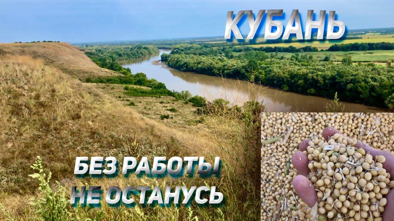 КАМАЗ на Кубани без работы НЕ останется смотреть онлайн