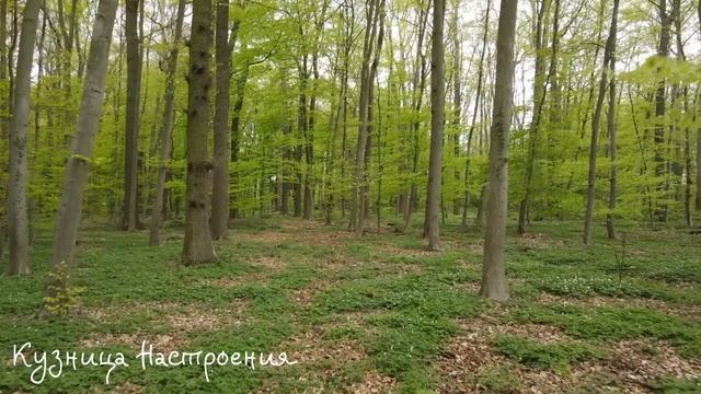 8 апреля Лазарева Суббота. Что нельзя делать 8 апреля. Народные традиции и приметы. смотреть онлайн