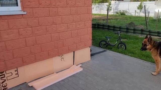 Ребёнок не даёт мне ничего делать/Ура! Выходной! Куры не дуры! Мои заготовки/Муж утепляет фундамент смотреть онлайн