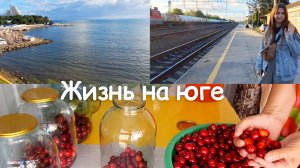 Отдых в Анапе | Начинаем убирать огород | Проводили Аню