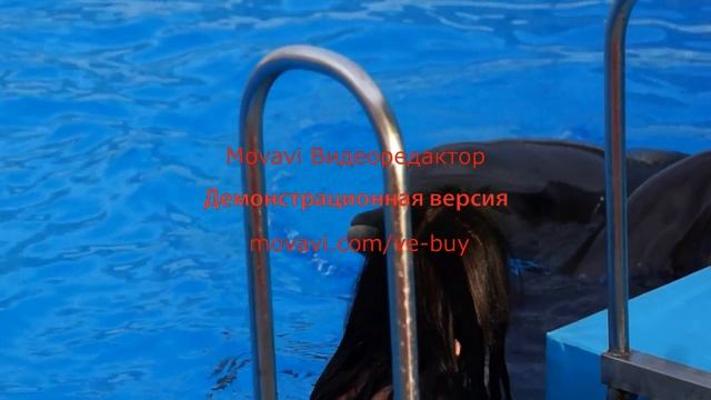 Купание с дельфинами или как я осталась в живых teather смотреть онлайн