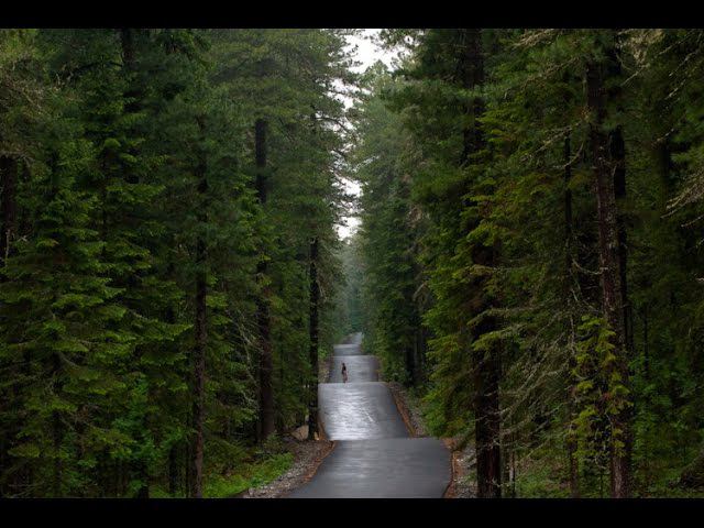 тётя Альбина - 