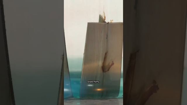 Химическое матирование нержавеющей стали с помощью метода погружения #shorts смотреть онлайн