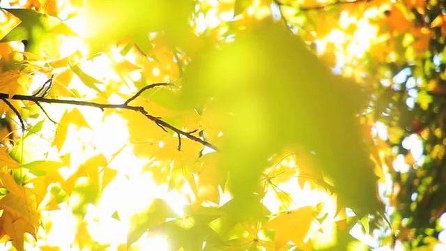 УСПЕШНАЯ ЖИЗНЬ. НАУЧИТЕСЬ ПОДДЕРЖИВАТЬ СЕБЯ. Как стать счастливой? Ада Кондэ смотреть онлайн