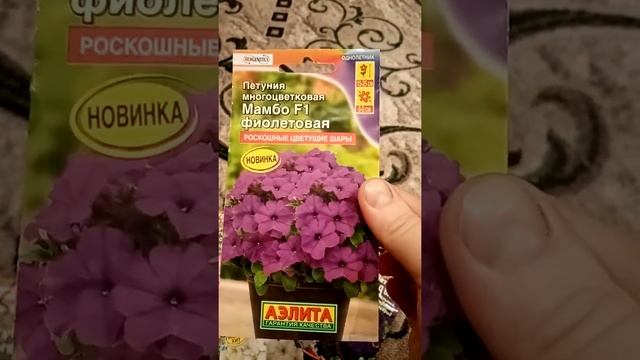 Выбор Петуний на 2020 год смотреть онлайн