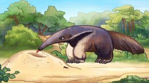 Кто живет в Южной Америке. Изучаем животных разных стран.