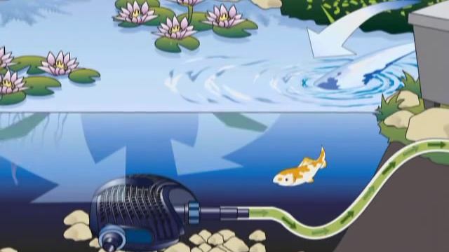 Создание водоема на приусадебном участке