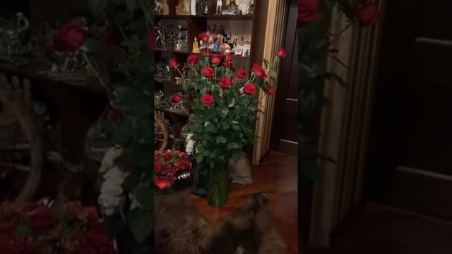 ДУХИ В КОМНАТЕ ВЕДЬМИНА ИЗБА ▶️ ИНГА ХОСРОЕВА смотреть онлайн