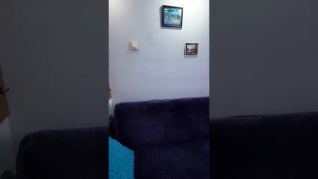 г.Сочи,ул.Пасечная д 16 рядом с центром.Студия посуточная аренда!!! смотреть онлайн