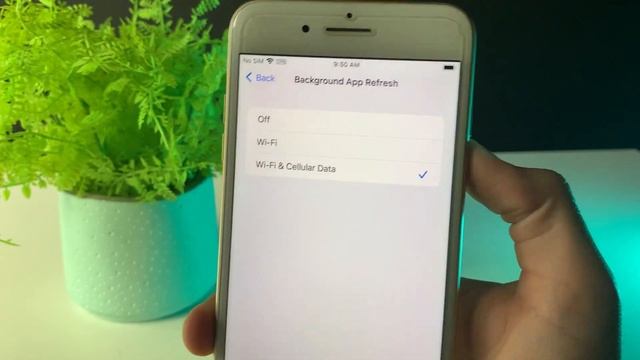 Provenance Emulator For IOS/iPhone/iPad (No Computer) 2023