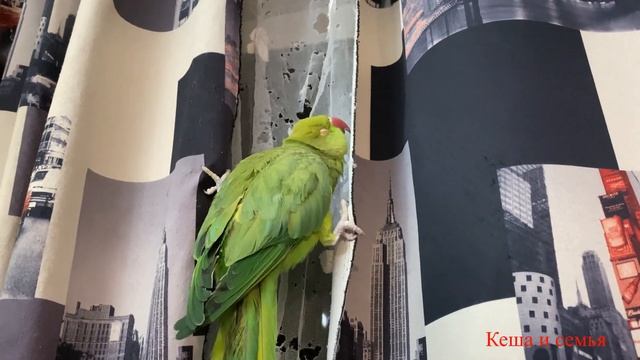 ЖИВУ НА ПРОЖИТОЧНЫЙ МИНИМУМ С СЫНОМ МЕСЯЦ смотреть онлайн