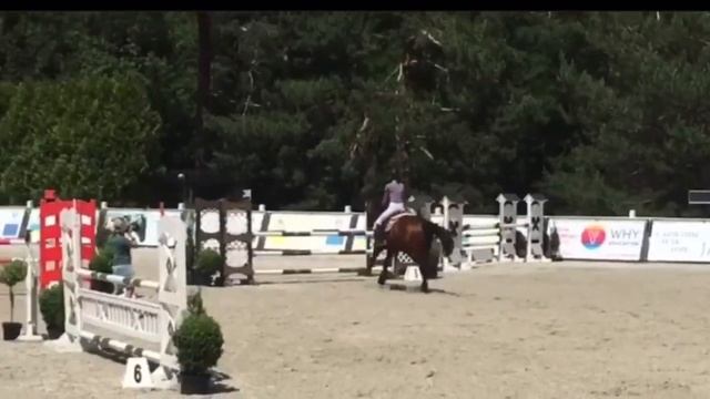 Красавчик 04 продажа лошадей esuhorses.com смотреть онлайн