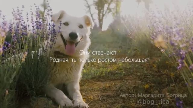 Стихотворение «Кто является капитаном корабля планеты Земля?» смотреть онлайн