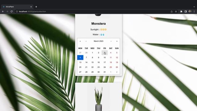 Flatiron School - Phase 2 Project Presentation - thirstPlant смотреть онлайн