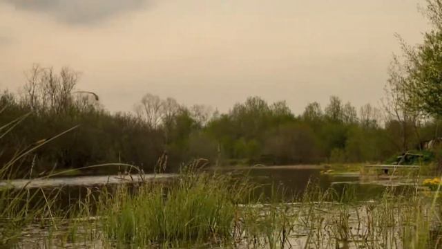 TimeLaps Замошье