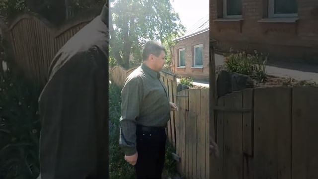 собака ни в чем не виновата смотреть онлайн