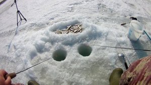 СЕЗОН 2021г КОРЮШКА НА МАХАЛКИ!!! КЛЮЁТ КАК С ПУЛЕМЁТА!!! Охота и рыбалка На Дальнем Востоке