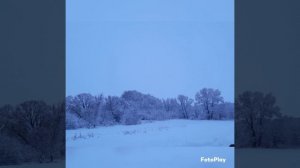 Опять зима метёт февраль!