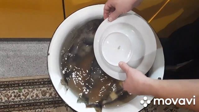 Коптим рыбу без химии смотреть онлайн