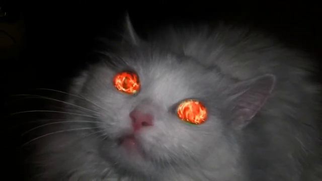 почему то её называют упоротая Кошка смотреть онлайн