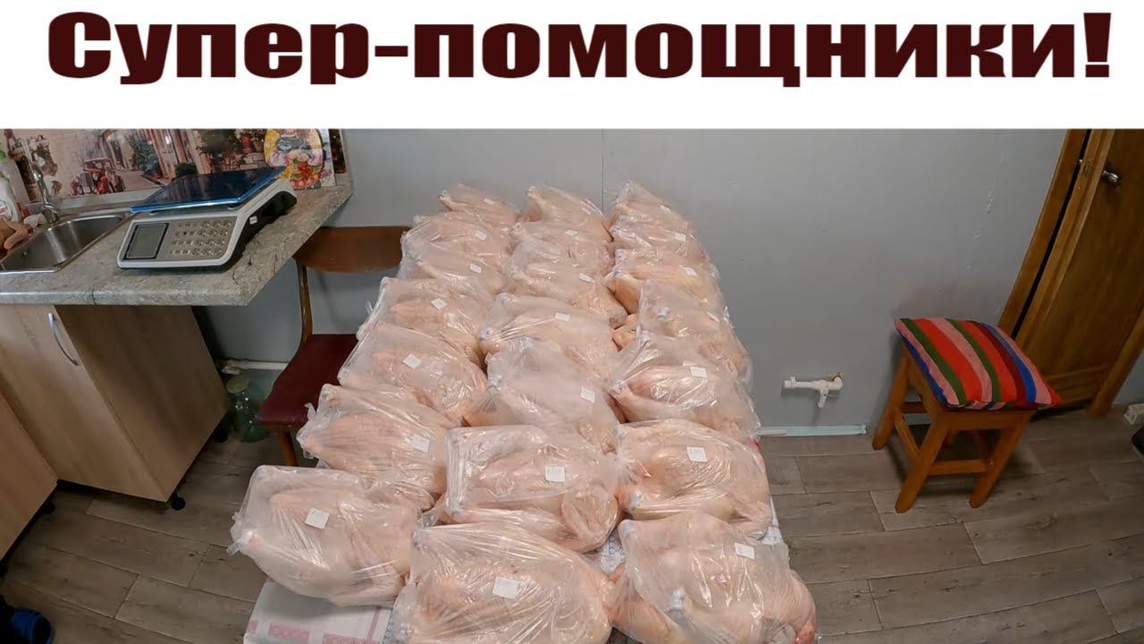 Ну просто супер-помощники от "МясТехМаш" и места стало не хватать! Жизнь в деревне! смотреть онлайн