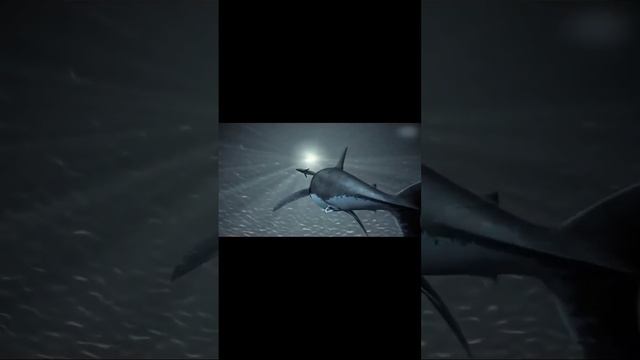 Самая большая рыба #акула #мегалодон #океан #мастерскаянастроения #shorts смотреть онлайн