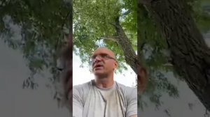 Почему не служил в Армии - Владимир Епифанцев