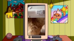 Самые милые видео Симбочки и Бенчика?