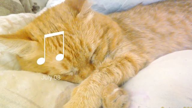 Я чувствую что меня любят. смотреть онлайн