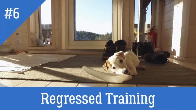 How To Know If Your Dog Is Lonely And What To Do If They Are смотреть онлайн