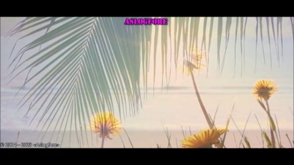 Dima Dark-Forest 17 видео ролик (7.04.2023)