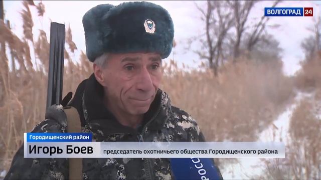 В Волгоградской области идет сезон зимней охоты на пушного зверя смотреть онлайн