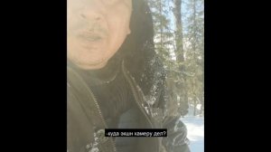 На защите стад. Будни волчатников. Охота на волков в Якутии.