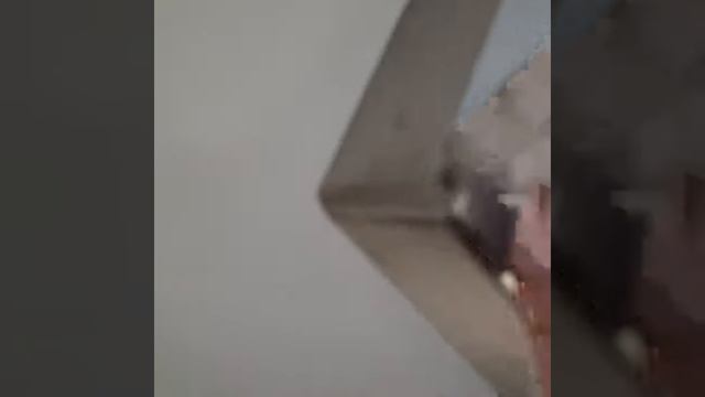 Полка настенная из нержавеющей стали смотреть онлайн