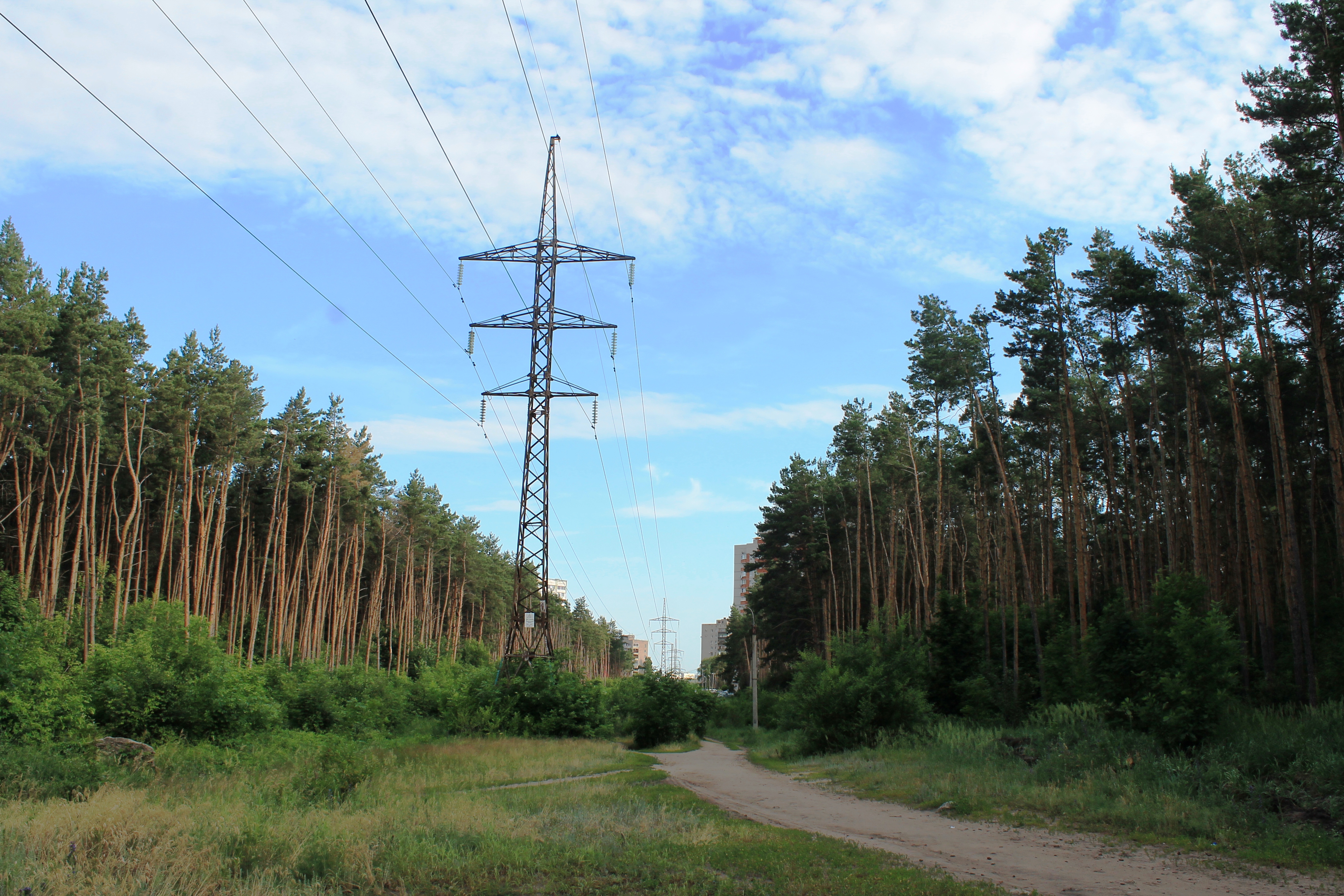 Утренний парк Оптимистов г.Воронеж смотреть онлайн