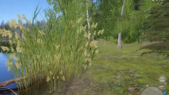 Russian Fishing 4 ЩУКА ГДЕ ЛОВИТЬ НА ОЗ СТАРЫЙ ОСТРОГ смотреть онлайн