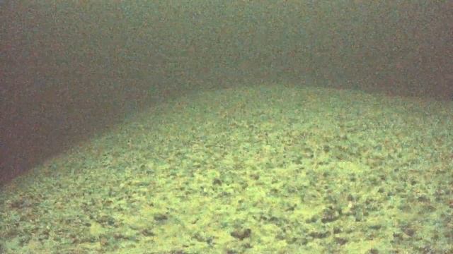 ВВ, 14 19м Как выглядят пупки и свалы с них пасмурно смотреть онлайн