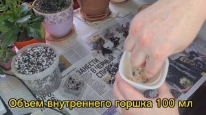 Горшок с фитильным поливом для фиалок