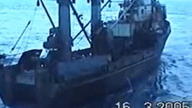 пскр приморье на задержании.mp4 смотреть онлайн