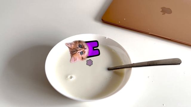 Cat animations in Real Life - Story #2 - Pushcats cat Cartoon Animation смотреть онлайн