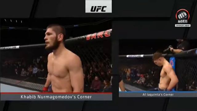 Бой Хабиб Нурмагомедов Эл Яквинта 480p смотреть онлайн