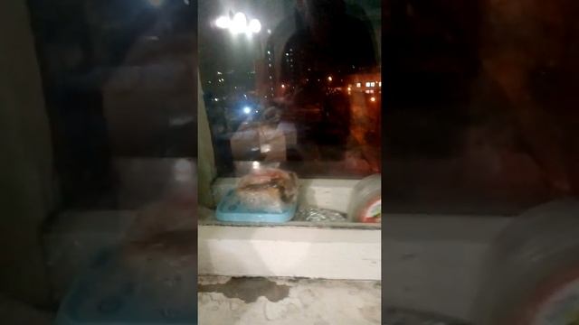Больница номер 20г.Красноярск смотреть онлайн