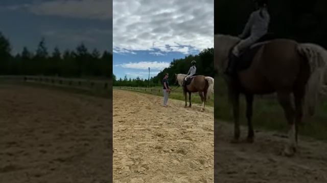 Верховая езда уроки смотреть онлайн