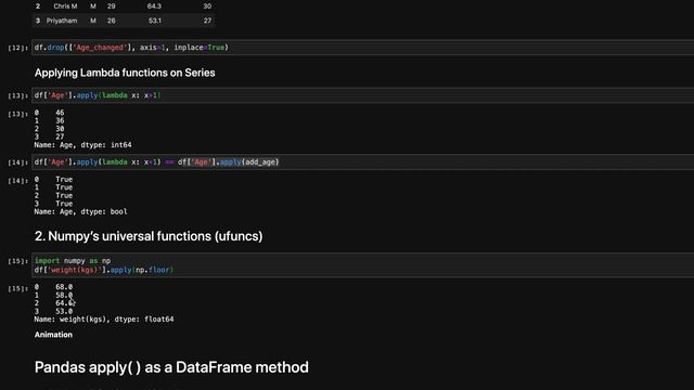 Pandas apply() — A Helpful Illustrated Guide смотреть онлайн