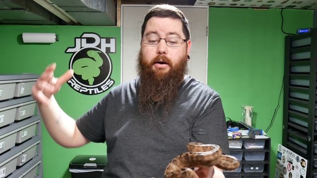 Lets talk Amazon Tree Boas смотреть онлайн