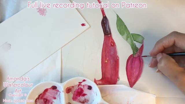 Watercolour Fuchsia’s 🎨🎨 - by Amanda’s Watercolour Art смотреть онлайн