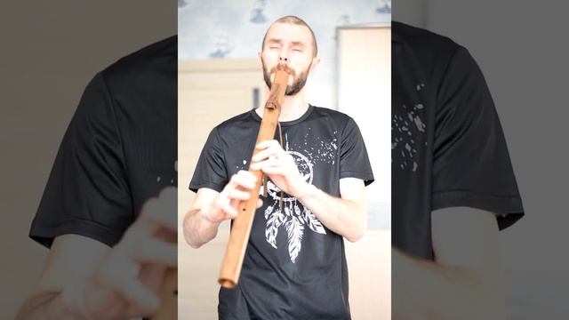 TES V: Skyrim - Far Horizons on the native american flute / флейта любви смотреть онлайн