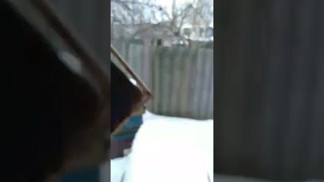 Майский жук зимой смотреть онлайн