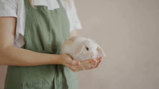 Успокаивающая музыка для малышей. СОН ЗА 5 МИНУТ. Милые кролики укладывают спать. смотреть онлайн